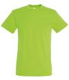 11380 Regent T-shirt Lime Green colour image